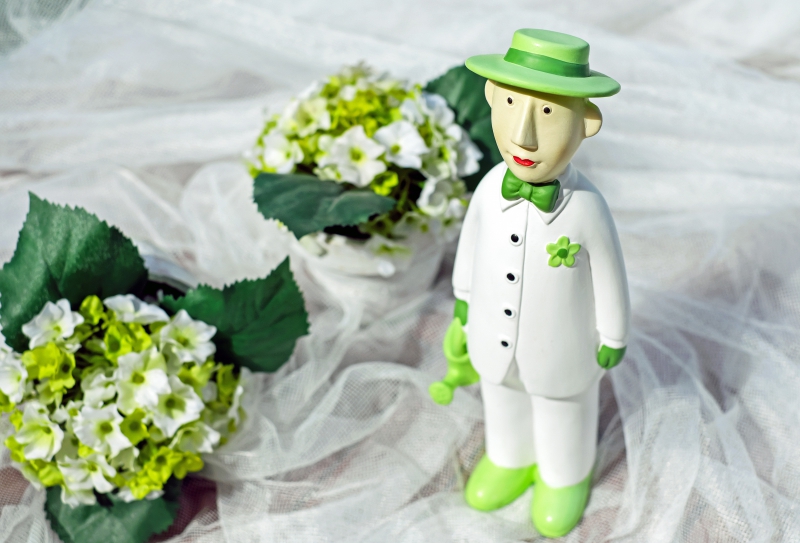 vitrine-ST RAPHAEL-min_man-person-flower-green-toy-fig-546529-pxhere.com